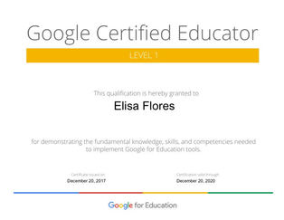 Google Level 1 Certification